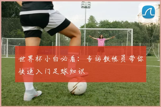 世界杯小白必看:专访教练员带你快速入门足球知识