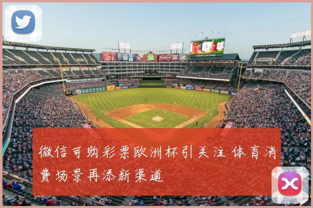 微信可购彩票欧洲杯引关注 体育消费场景再添新渠道