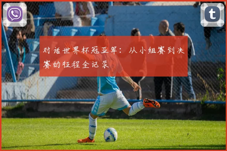 对话世界杯冠亚军：从小组赛到决赛的征程全记录