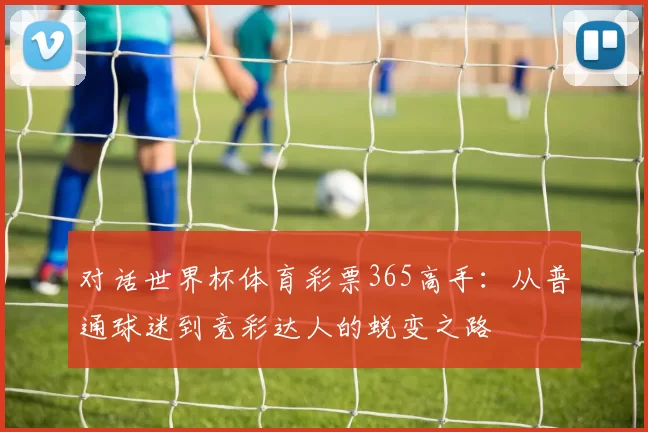 对话世界杯体育彩票365高手:从普通球迷到竞彩达人的蜕变之路