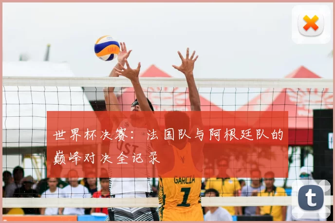 世界杯决赛:法国队与阿根廷队的巅峰对决全记录