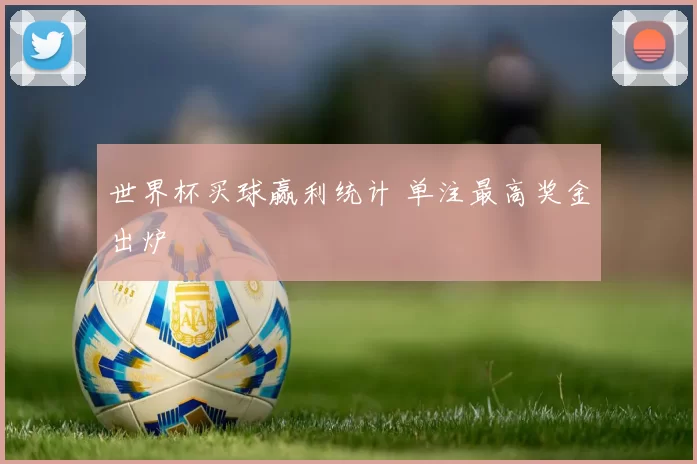 世界杯买球赢利统计 单注最高奖金出炉