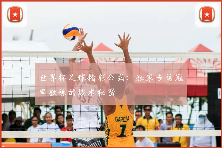 世界杯足球精彩公式：独家专访冠军教练的战术秘密