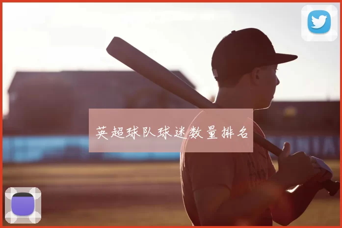 英超球队球迷数量排名