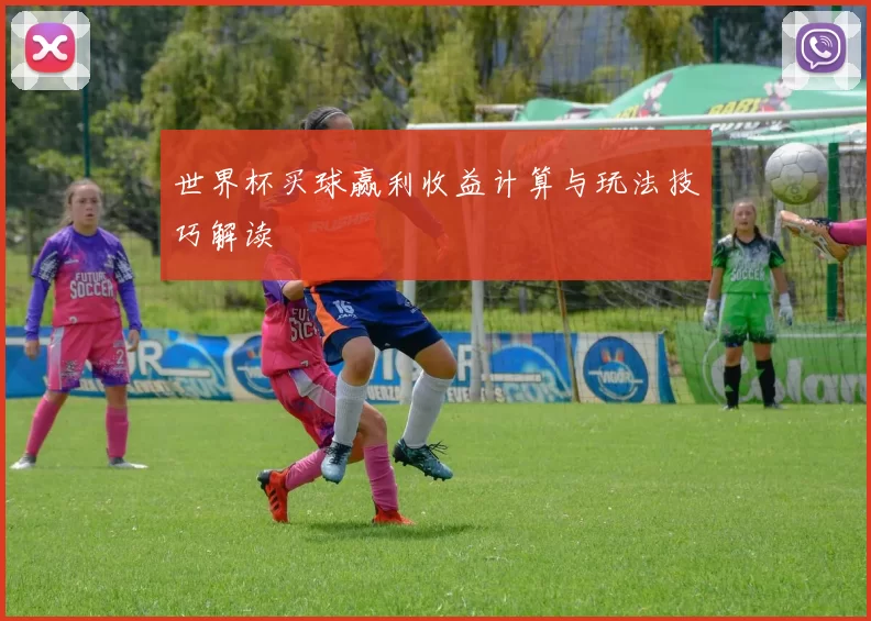 世界杯买球赢利收益计算与玩法技巧解读