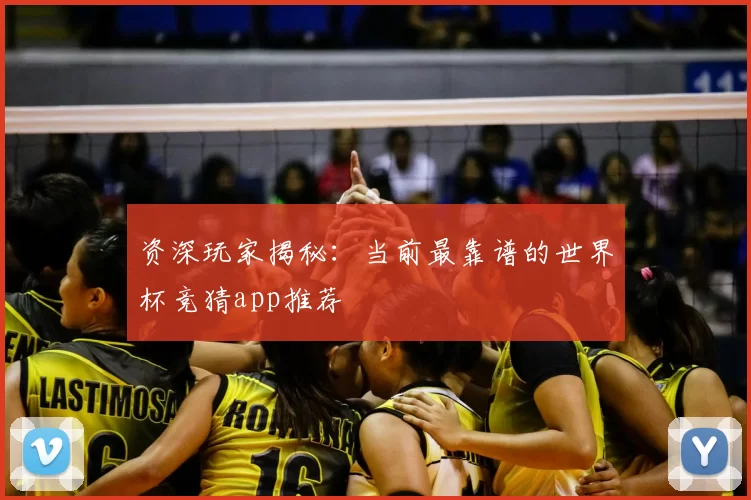 资深玩家揭秘：当前最靠谱的世界杯竞猜app推荐