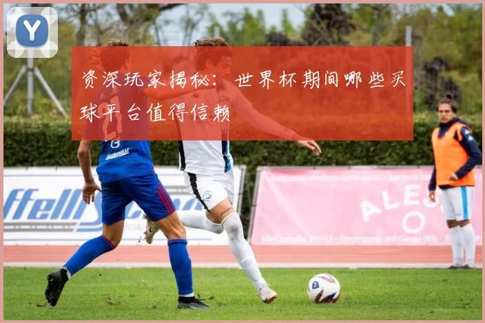 资深玩家揭秘:世界杯期间哪些买球平台值得信赖