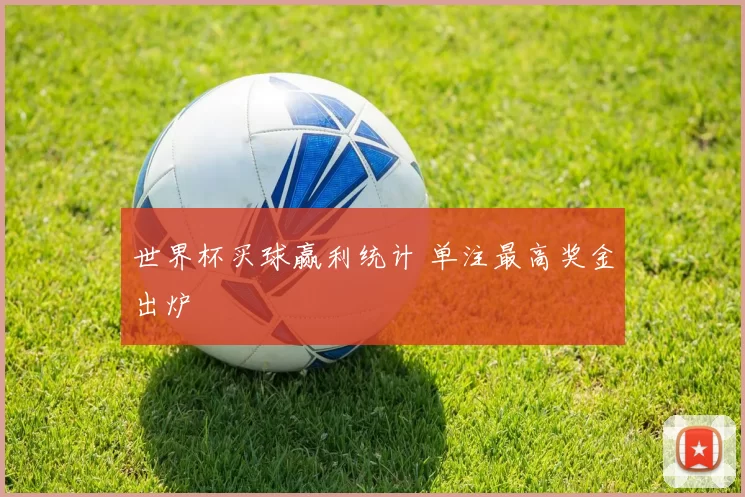 世界杯买球赢利统计 单注最高奖金出炉