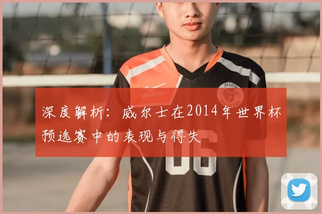 深度解析:威尔士在2014年世界杯预选赛中的表现与得失