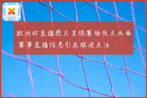 欧洲杯直播图片呈现赛场焦点画面 赛事直播信息引发球迷关注