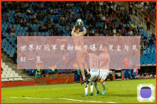 世界杯冠军奖励细节曝光 奖金与奖杯一览
