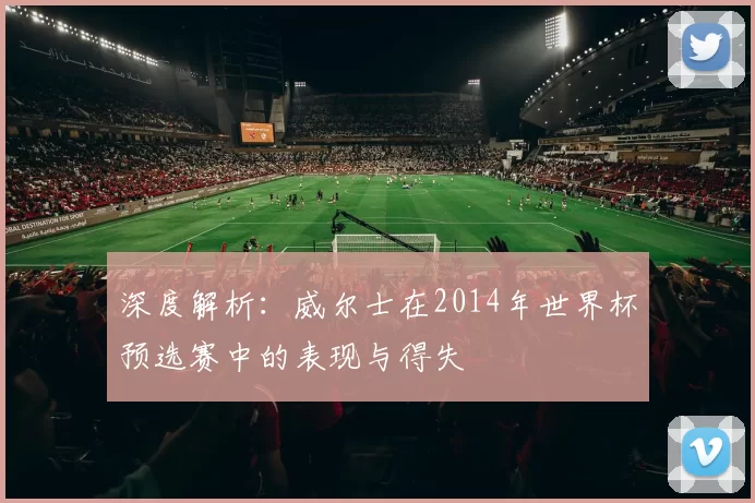深度解析：威尔士在2014年世界杯预选赛中的表现与得失