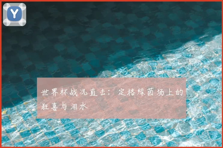 世界杯战况直击:定格绿茵场上的狂喜与泪水